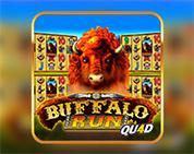 Buffalo Run Quad